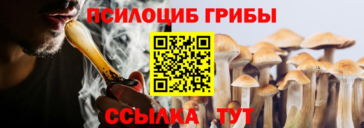 Псилоцибиновые грибы Cubensis  Вход с VPN  сколько стоит  Аша 